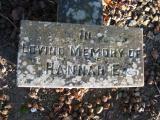 image of grave number 808131